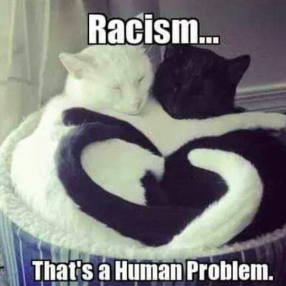 Meet your Posher, Mk - Picture 3 of 12